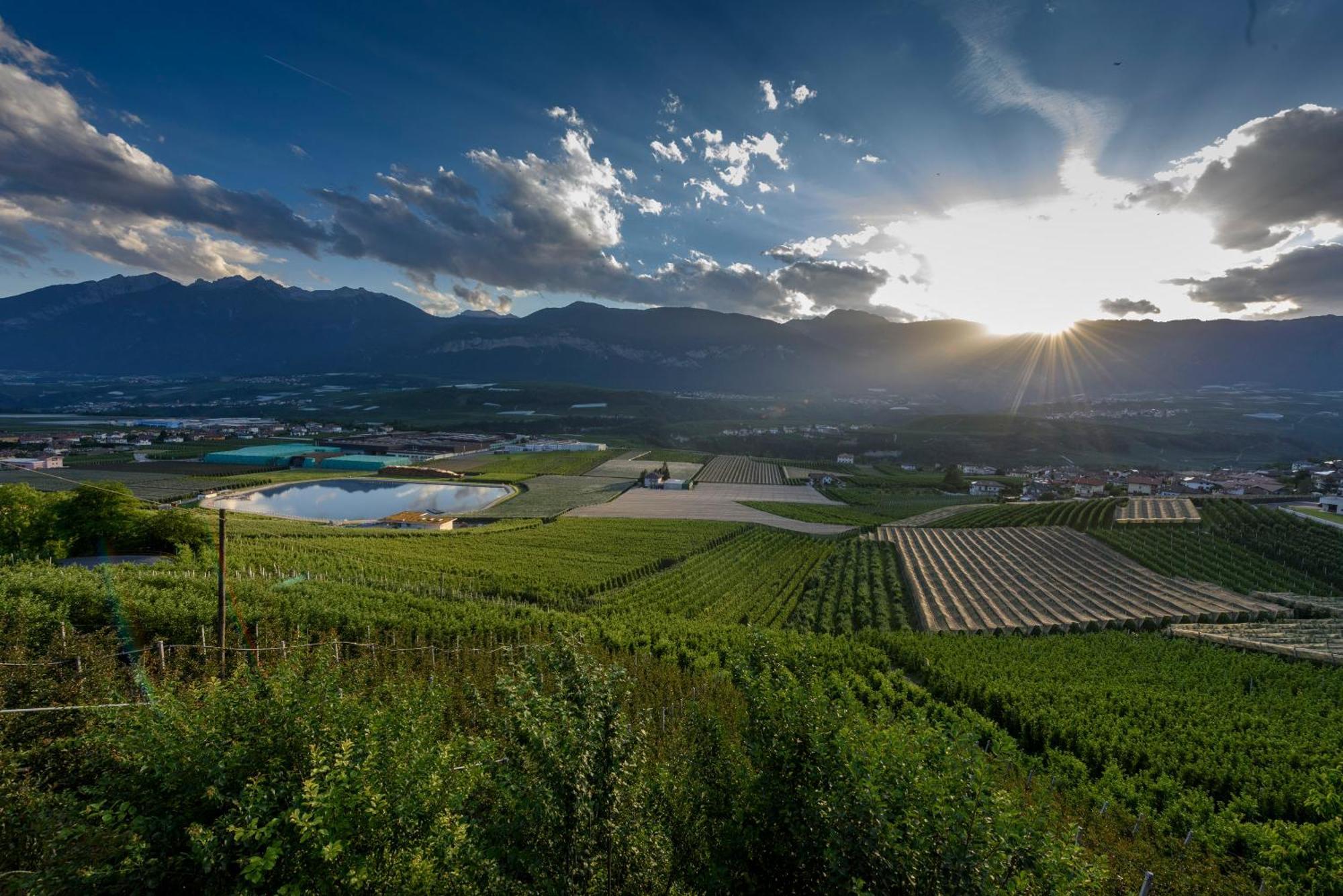 Вілла Agritur La Pieve Taio Екстер'єр фото